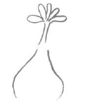 AltName