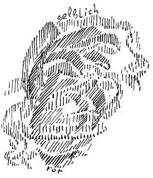 AltName