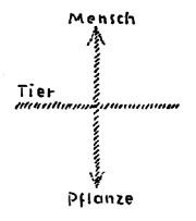 AltName