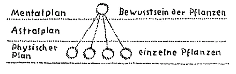 AltName
