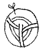 AltName