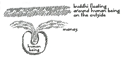 buddhi around human being