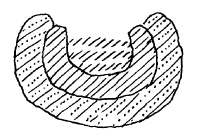 AltName