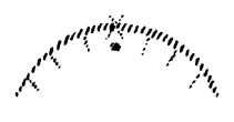 AltName