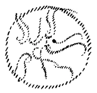 AltName