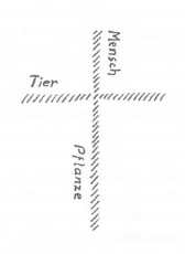 Man, Animal and Plant forming a cross