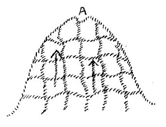 AltName