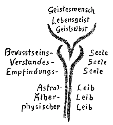 Flowering of Man