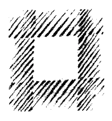 AltName