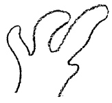 AltName