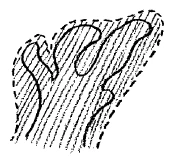 AltName