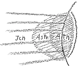 AltName