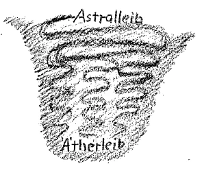AltName