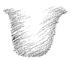 AltName