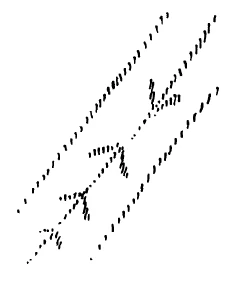 AltName