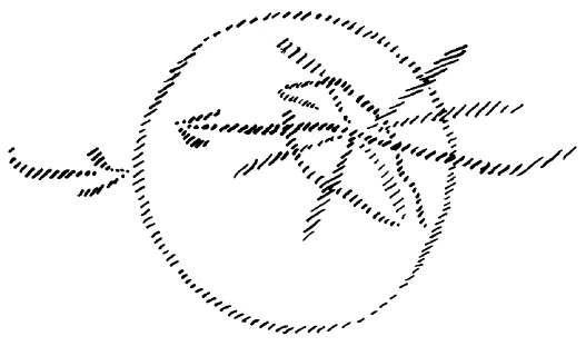 AltName