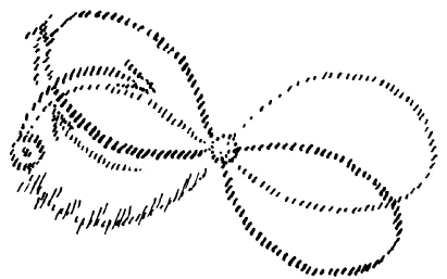 AltName