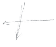 AltName