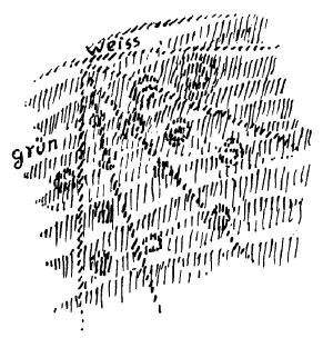 AltName
