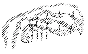 AltName