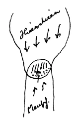 AltName
