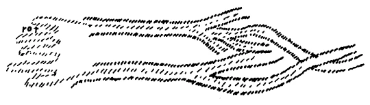 AltName