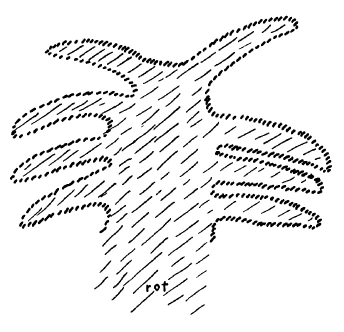 AltName