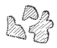 AltName