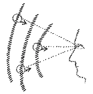 AltName