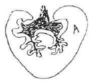 AltName
