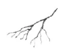 AltName