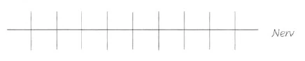 AltName