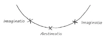 AltName