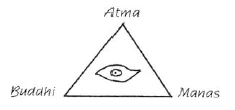 AltName