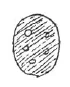 AltName