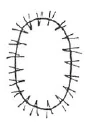 AltName