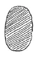 AltName