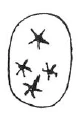 AltName
