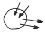 AltName