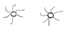 AltName