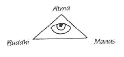 AltName
