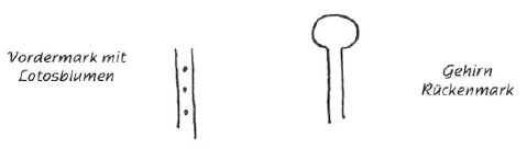 AltName