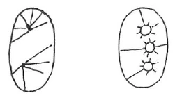 AltName