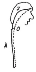 AltName