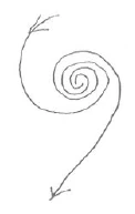 AltName