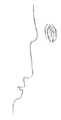 AltName