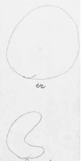 AltName