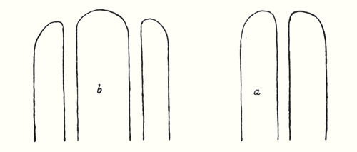 Sketch of the Forms of the Doors and Windows