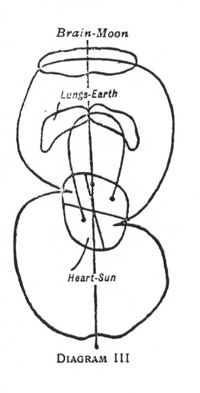 Diagram III