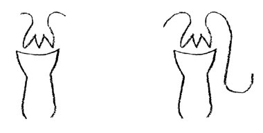 AltName